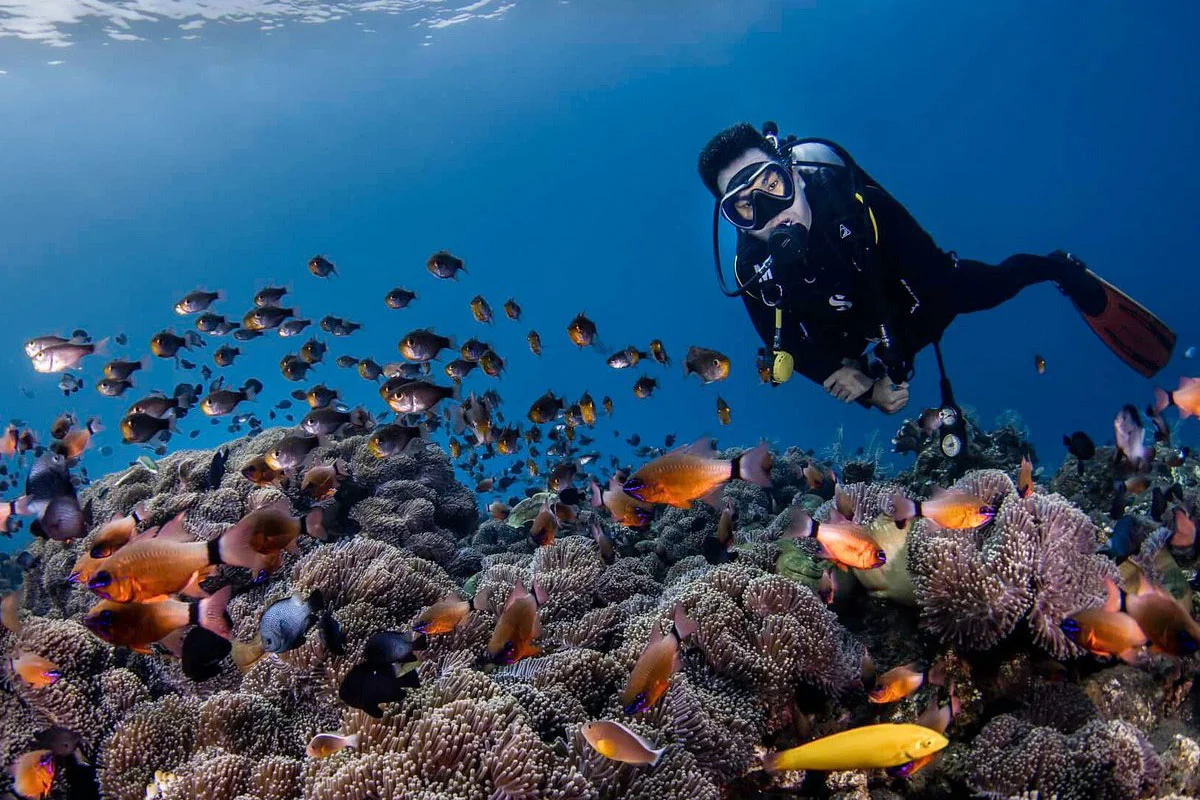 diving-at-tulamben